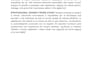 accurately translate documents in multiple languages